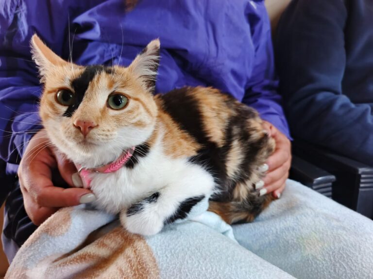 CONCIENCIA Y CUIDADO ANIMAL: CASTRACIONES Y TALLERES GRATUITOS EN LA QUIACA