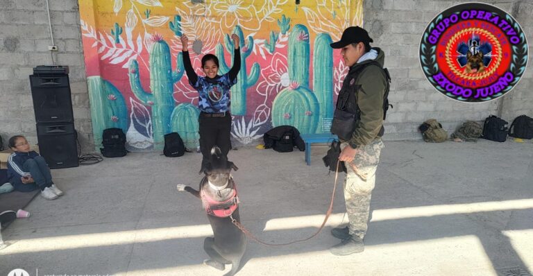 ZOONOSIS INVITA A UN TALLER PARA MEJORAR LA CONVIVENCIA CON NUESTRAS MASCOTAS