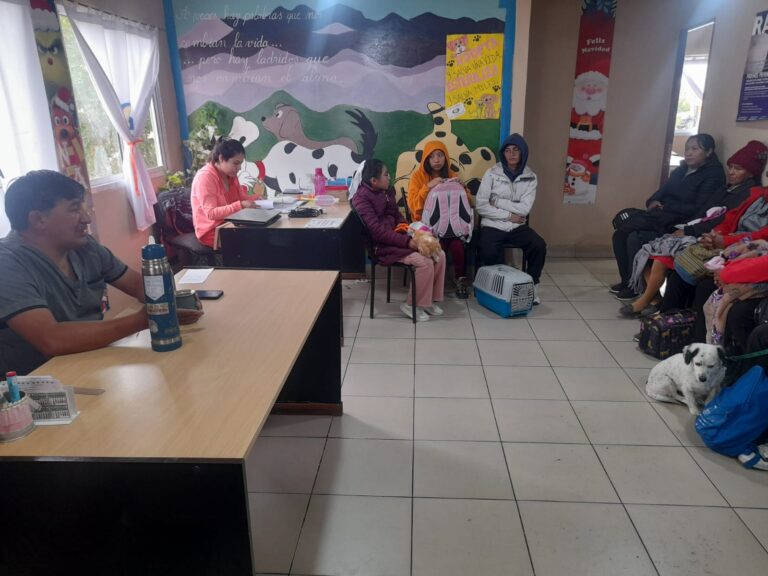 CONTINÚAN LAS POLÍTICAS DE SALUD ANIMAL CON CASTRACIONES GRATUITAS