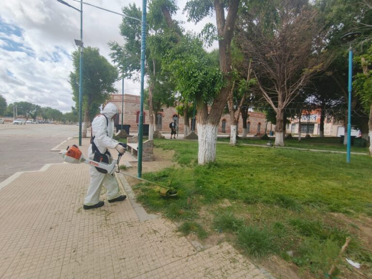 NUEVAS MÁQUINAS Y MAYOR AVANCE: CONTINÚA EL MANTENIMIENTO DE PLAZA CENTENARIO