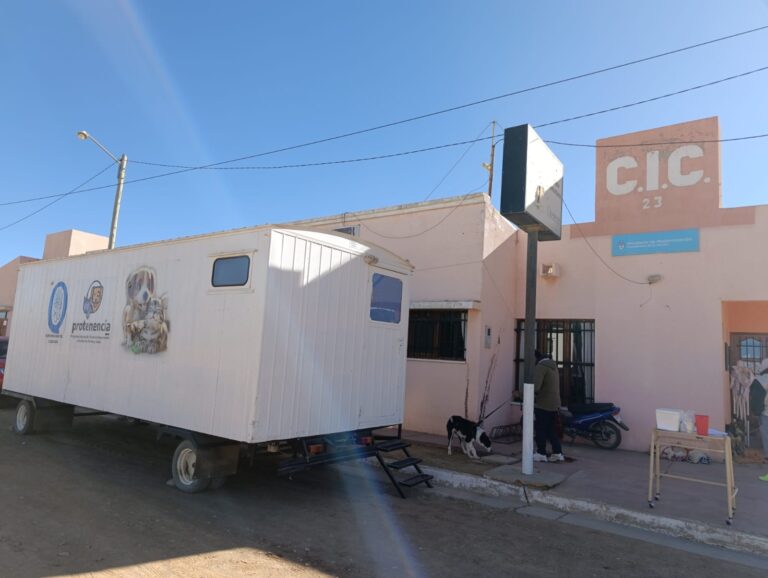 MUNICIPALIDAD DE LA QUIACA FORTALECE CAMPAÑA DE CASTRACIÓN Y TENENCIA RESPONSABLE