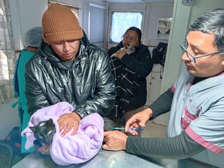 CONTINÚA LA CAMPAÑA DE CASTRACIÓN Y VACUNACIÓN EN EL CIC DE RUTA 5