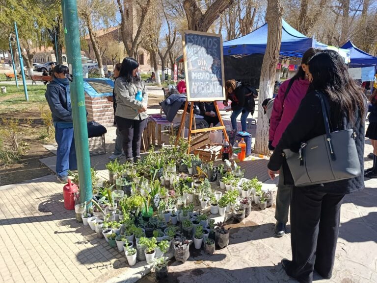 LA QUIACA CONMEMORÓ EL DÍA MUNDIAL DEL MEDIO AMBIENTE CON UNA FERIA DE CONCIENTIZACIÓN Y PARTICIPACIÓN CIUDADANA