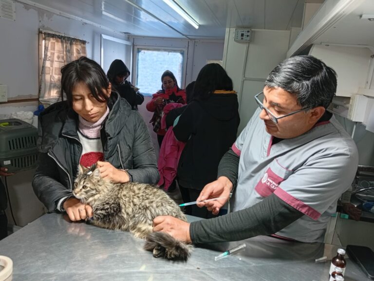 ZOONOSIS REALIZÓ UNA NUEVA JORNADA DE CASTRACIÓN, VACUNACIÓN Y CONCIENTIZACIÓN EN BARRIO SANTA TERESITA