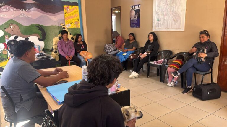 EL CENTRO DE ZOONOSIS RETOMÓ LAS CASTRACIONES Y AMPLIÓ EL HORARIO DE ATENCIÓN