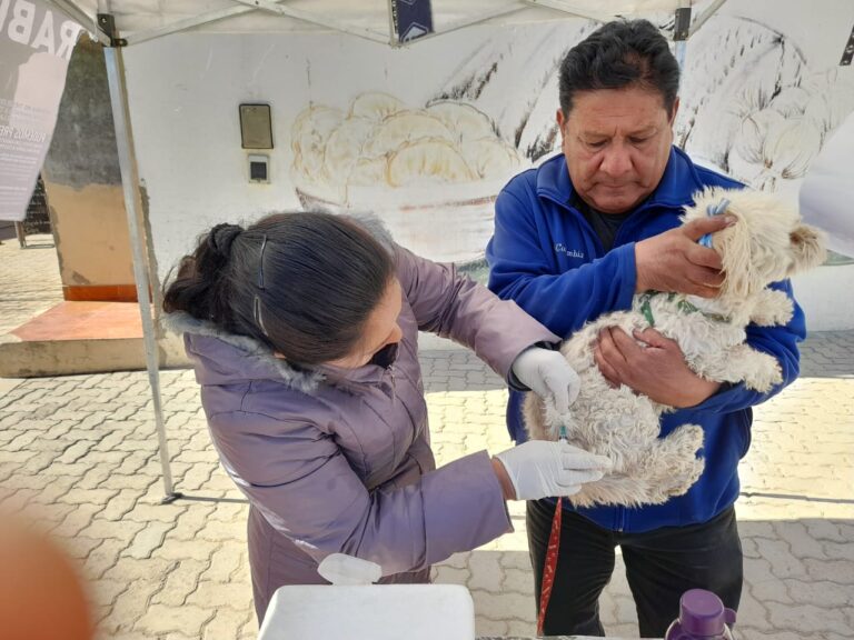 LA MUNICIPALIDAD DE LA QUIACA FORTALECE LA PREVENCIÓN Y PROMUEVE LA TENENCIA RESPONSABLE DE MASCOTAS
