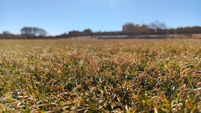 CON TAREAS DE FERTILIZACIÓN Y MANTENIMIENTO, LA CANCHA MUNICIPAL SE PREPARA PARA UNA NUEVA TEMPORADA