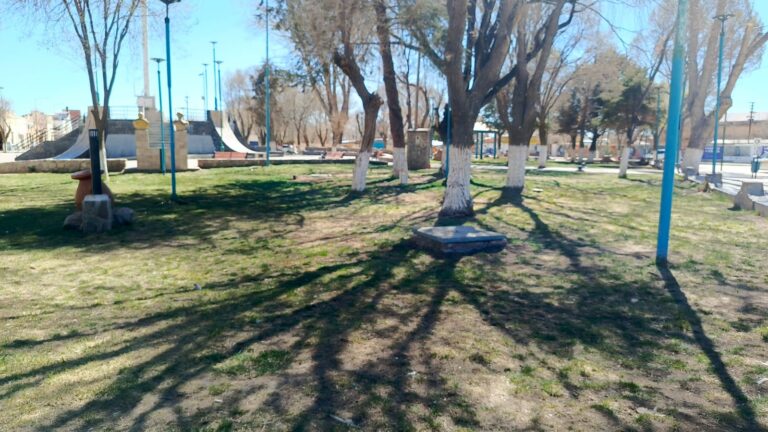 LA QUIACA INICIARÁ UN CENSO INTEGRAL DEL ARBOLADO URBANO Y FORTALECERÁ EL CUIDADO DE LOS ESPACIOS VERDES