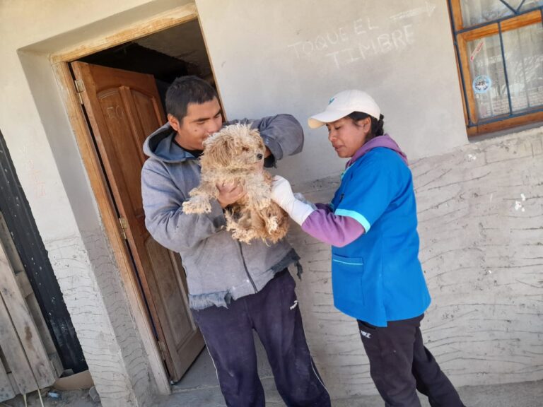 EL MUNICIPIO FORTALECE LA CAMPAÑA DE VACUNACIÓN ANTIRRÁBICA Y LAS CASTRACIONES