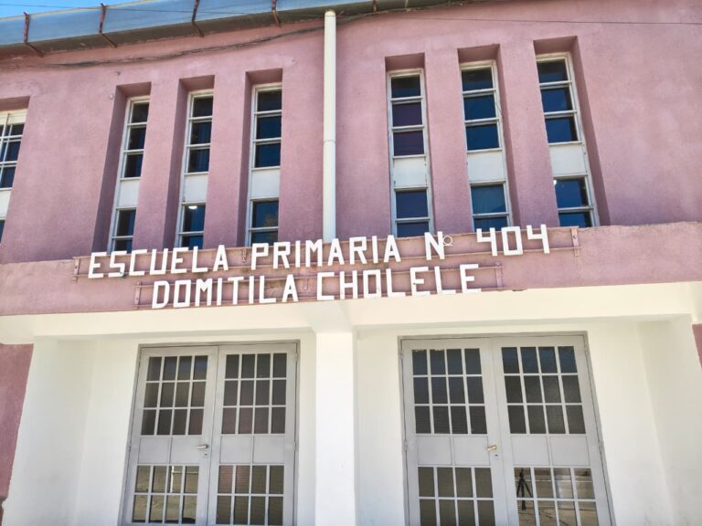 DANTE VELAZQUEZ ARTICULÓ GESTIONES PARA HACER REALIDAD EL TECHADO DE LA ESCUELA N° 404 DOMITILA CHOLELE