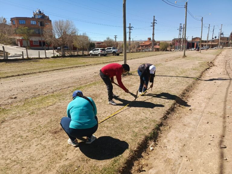 LA MANKA FIESTA SUMA ORGANIZACIÓN, CONTROL Y COOPERACIÓN BINACIONAL PARA CUIDAR A FERIANTES Y CONSUMIDORES